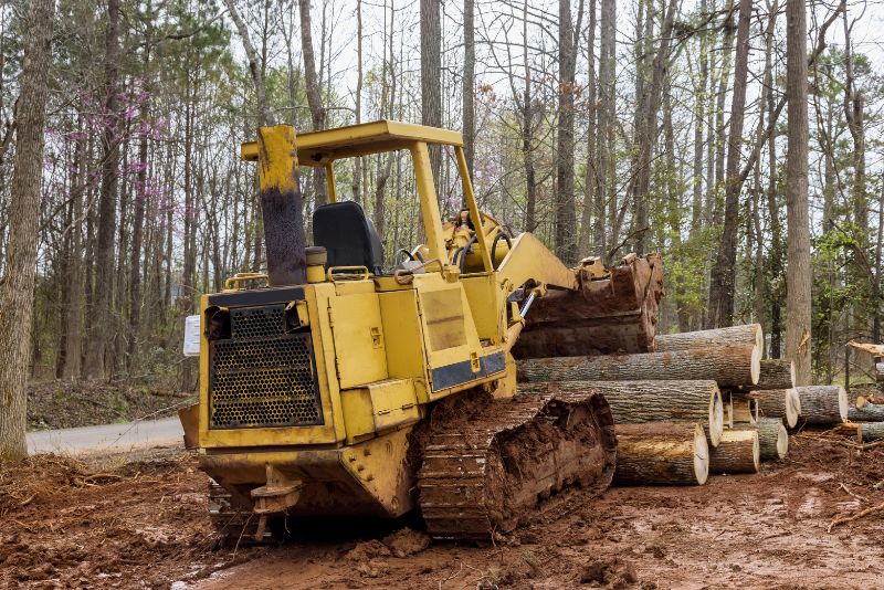 excavator moving tree logs